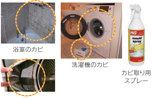 チェックの流れ